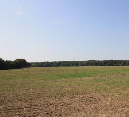 Jetzt neu: Grundstück zum Kauf in Kraatz