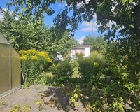 Garten_Gewächshaus (1)